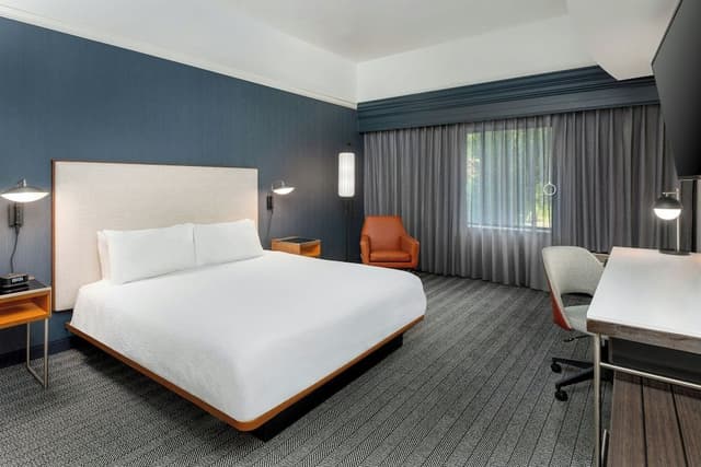 Room, 1 King Bed with Sofa bed