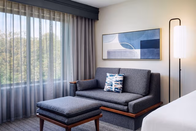 Room, 1 King Bed