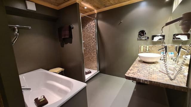Suite, Balcony, Mountain View (South)