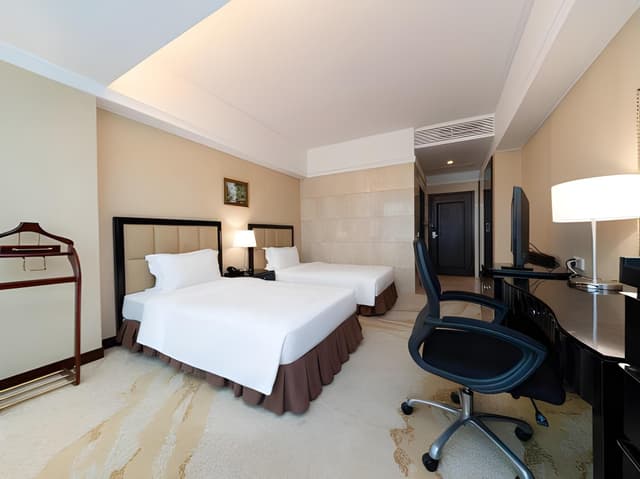 Deluxe Executive Twin Room