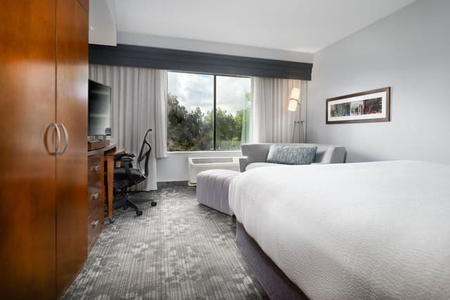 Room, 1 King Bed with Sofa bed