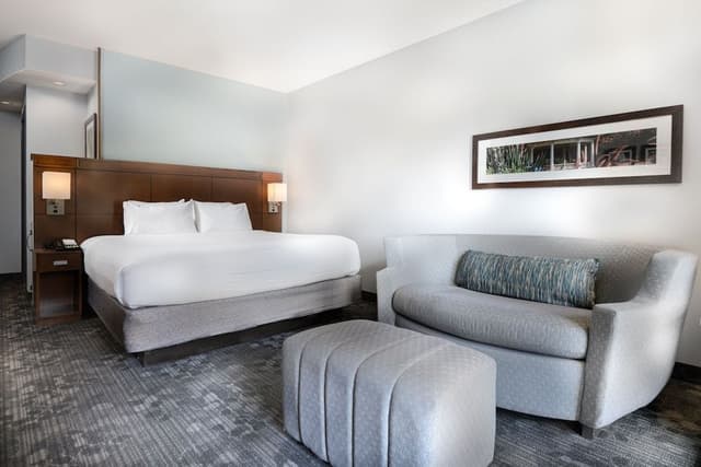 Room, 1 King Bed with Sofa bed