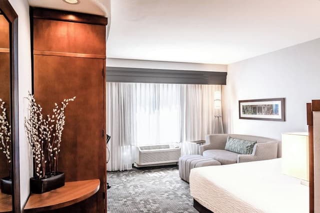 Room, 1 King Bed with Sofa bed