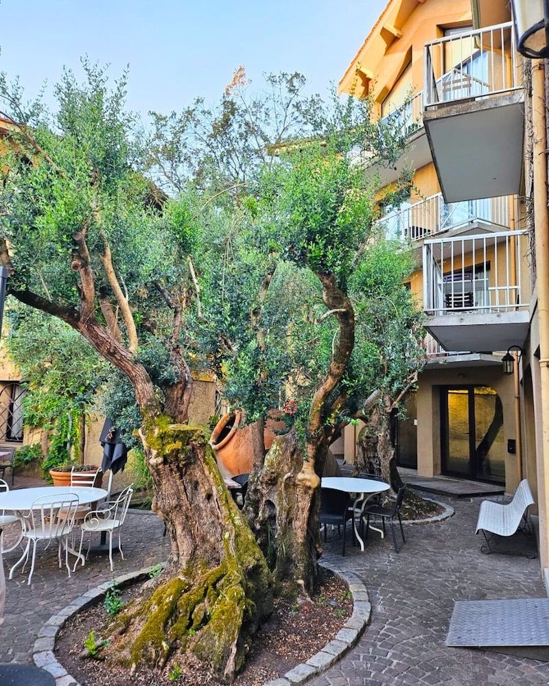 Citotel Le Chalet Lyrique2
