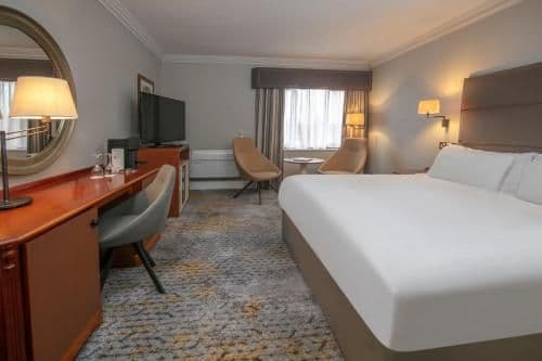 Superior King Room
