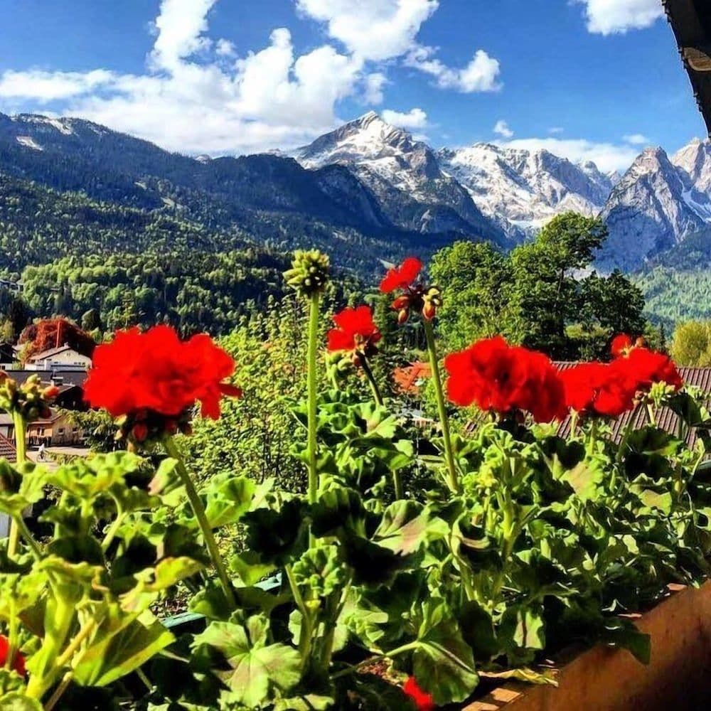 Gastehaus Hohe Tannen Gastehaus Hohe Tannen