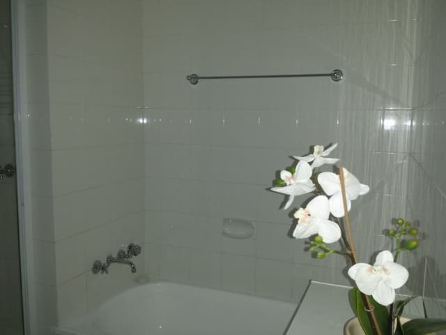 Superior Apartment, 3 Bedrooms