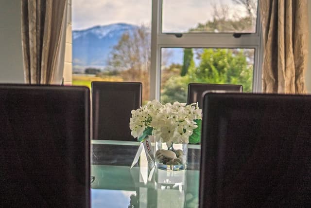 Comfort Suite, 1 King Bed, Mountain View