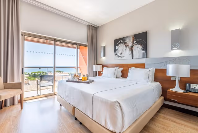 Deluxe Double or Twin Room