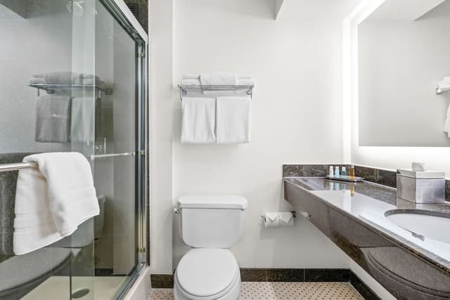 Room, 1 King Bed, Accessible (Roll In Shower)
