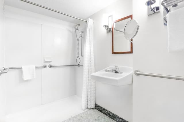 Room, 1 King Bed, Accessible (Roll In Shower)