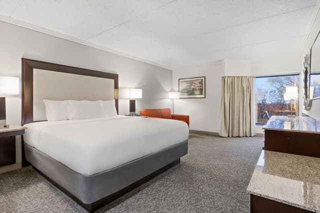 Room, 1 King Bed, Accessible (Roll In Shower)