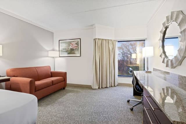 Room, 1 King Bed, Accessible (Roll In Shower)