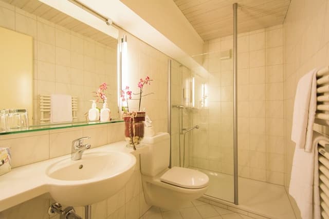 Classic Double Room, Mountain View