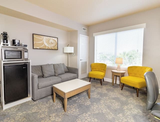 Ocean View Suite (Partial View)