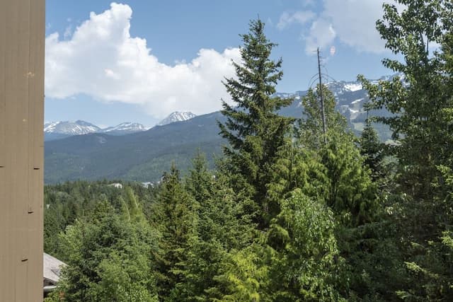 Apartment, 2 Bedrooms, Mountain View