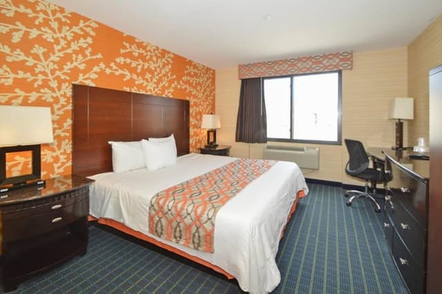 Room, 1 King Bed, Non Smoking