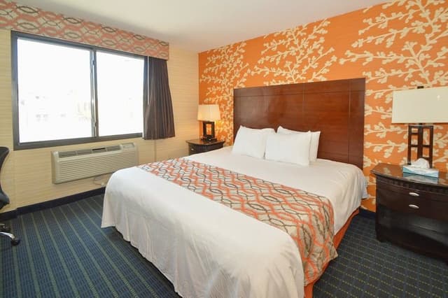 Room, 1 King Bed, Smoking