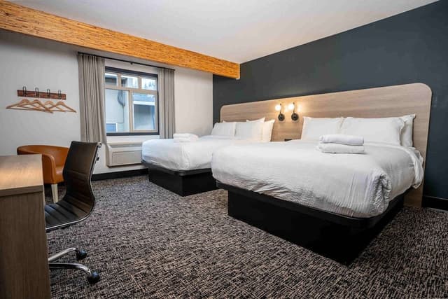 Double Queen Suite Dog Friendly