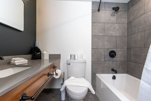 King Room Dog Friendly