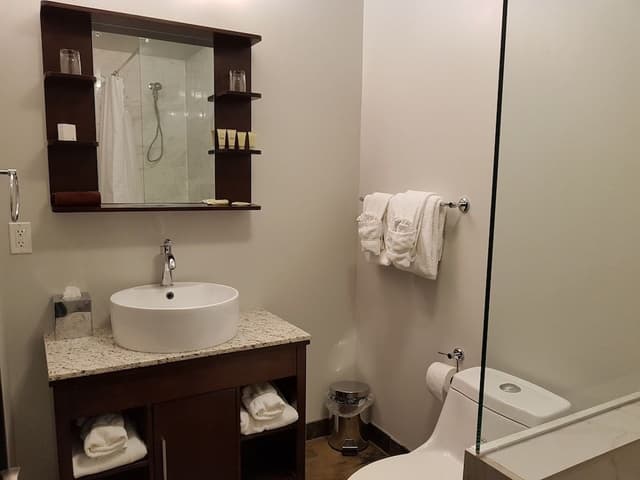 Luxury Condo, 3 Bedrooms, Connecting Rooms, Mountain View