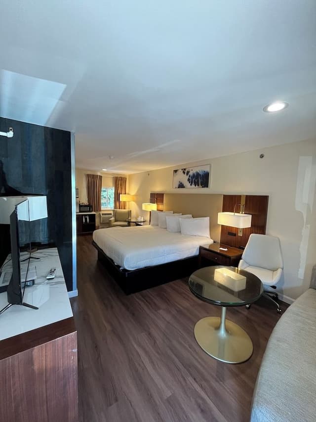 Room, 1 King Bed