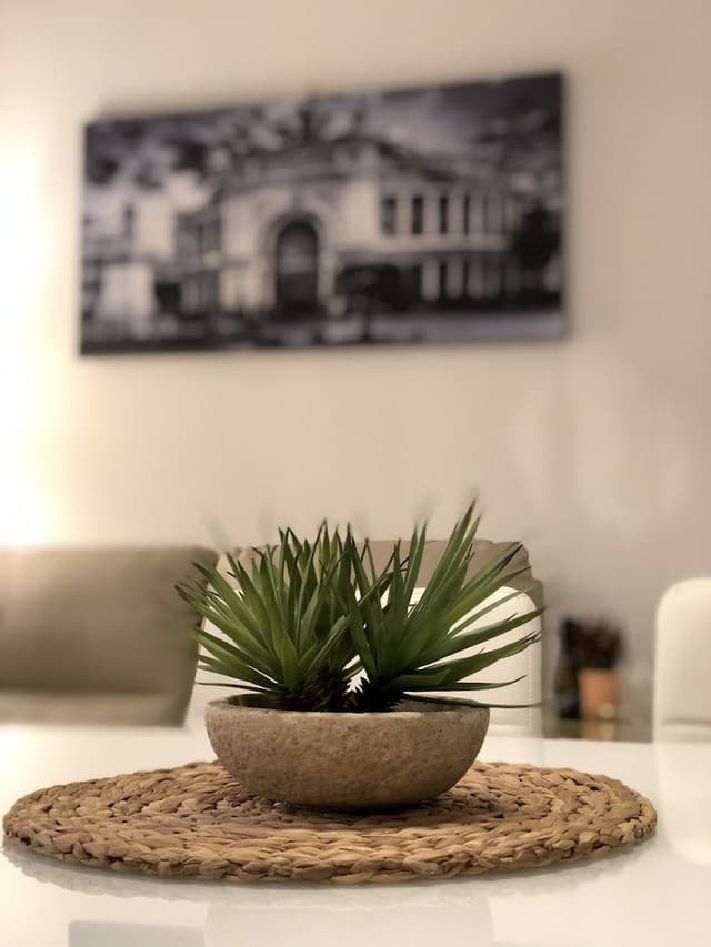 City Apartment