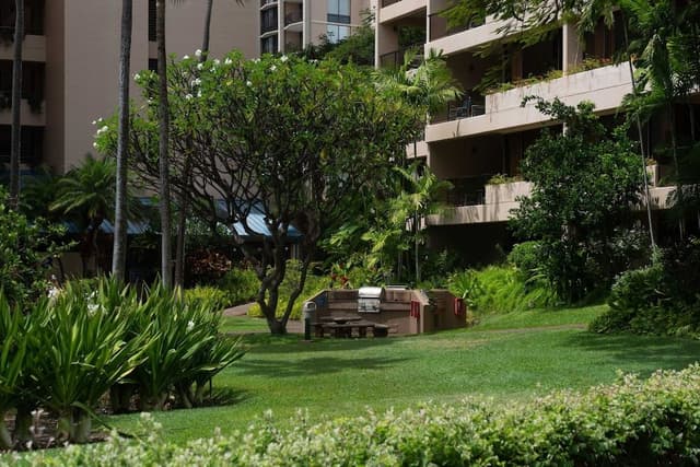 Condo, 3 Bedrooms