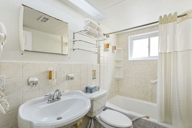Deluxe One Bedroom Suite: 1 Queen Bed and 2 Sleeper Sofas