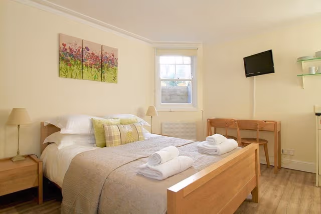 Basic Apartment, 1 Bedroom (Basement)