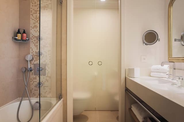 Junior Suite, Park View