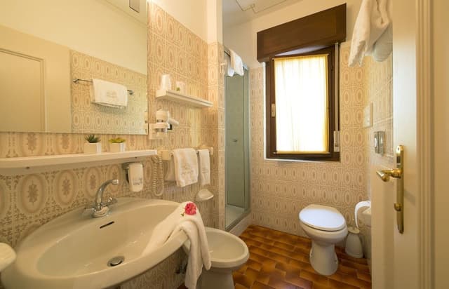 Basic Double Room