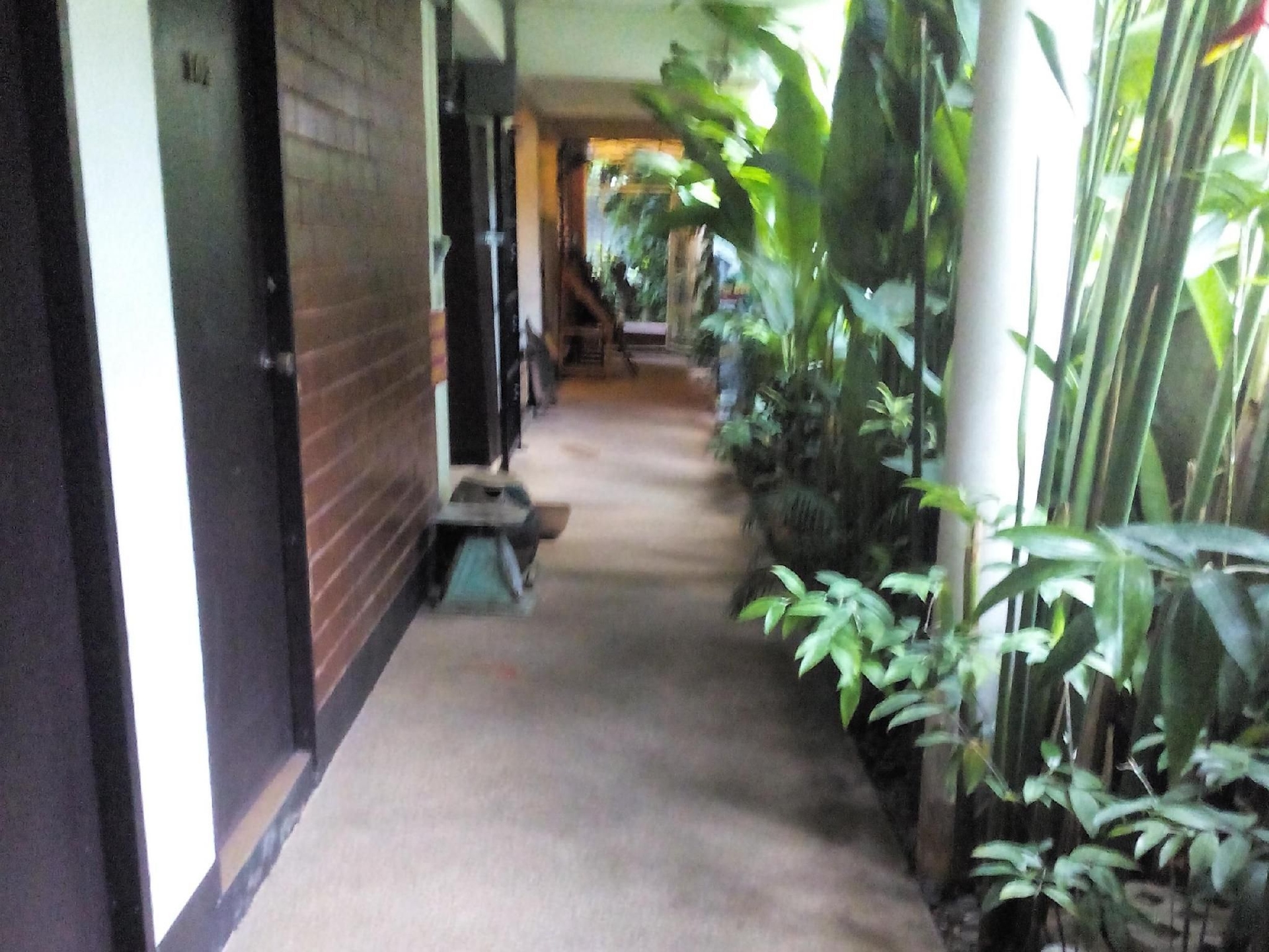 บ้านพิม (Baan Pim)3