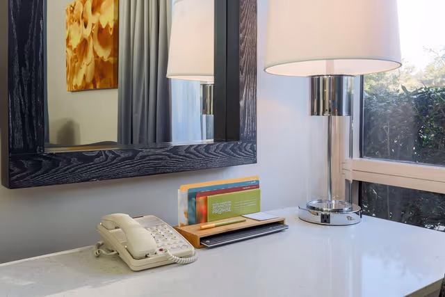 1 KING MOBILITY/HEARING ACCESSIBLE RI SHWR