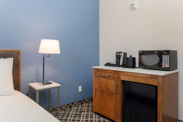 1 KING MOBILITY/HEARING ACCESSIBLE RI SHWR