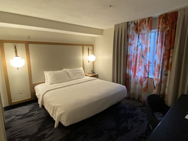 Room, 1 King Bed