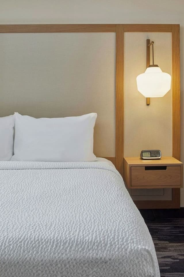 Suite, 1 King Bed with Sofa bed