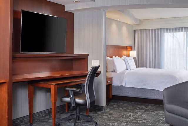 Suite, 1 King Bed with Sofa bed