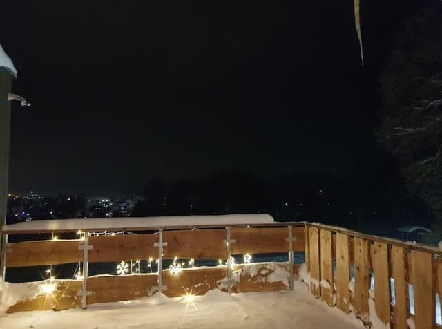Deluxe Condo, Sauna (Wald Lodge, inkl. 85€ Reinigung)