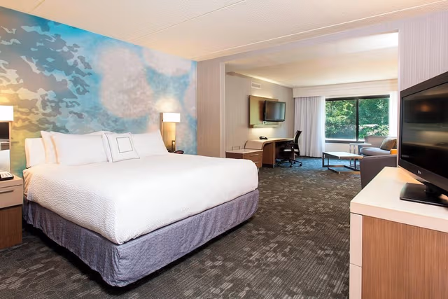 Suite, 1 King Bed with Sofa bed