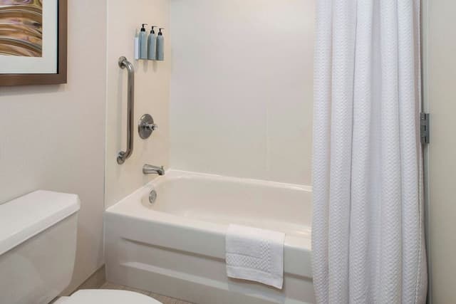 Suite, 1 King Bed with Sofa bed