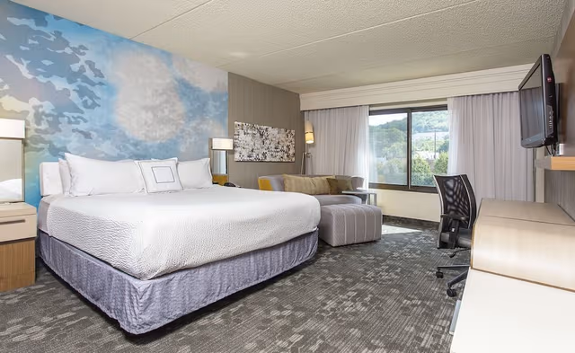 Suite, 1 King Bed with Sofa bed