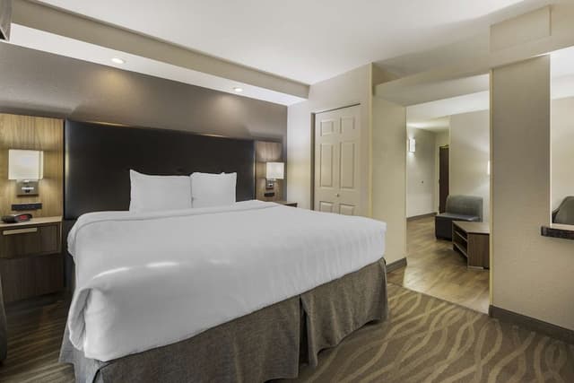 Executive Suite, 1 King Bed, Non Smoking, Refrigerator & Microwave