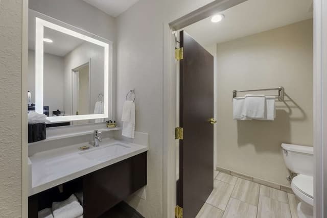 Standard Room, 1 King Bed, Non Smoking, Refrigerator