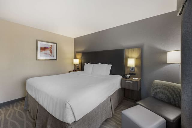 Standard Room, 1 King Bed, Non Smoking, Refrigerator