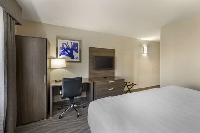 Standard Room, 1 King Bed, Non Smoking, Refrigerator
