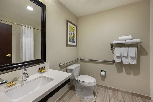 Standard Room, 1 King Bed, Accessible, Bathtub
