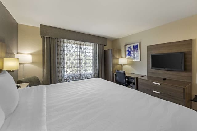 Standard Room, 1 King Bed, Accessible, Bathtub