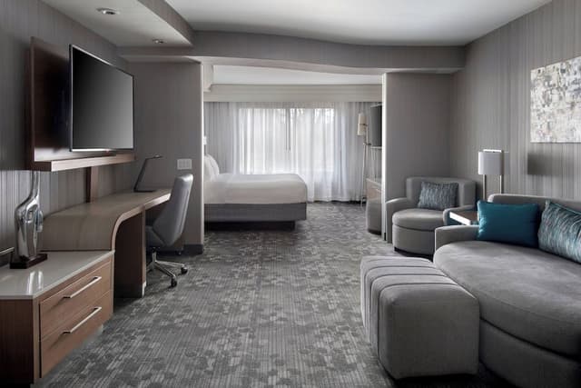 Suite, 1 King Bed with Sofa bed