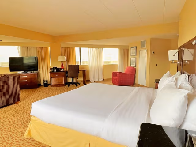 Basic Studio Suite